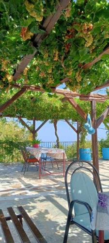 Zagora-Mouresi Apartment | Μπαλκόνι του Αιγαίου/Aegean balcony