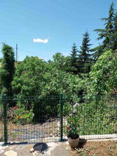 Arnaia Apartment | Πραβιτάδικο