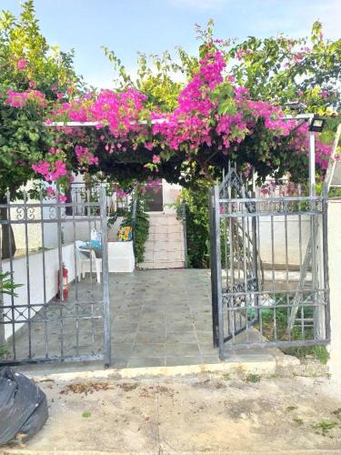 Kilada Apartment | σπίτι - αγρόκτημα - Δ Γεωργά Χατζηράση οδός Χατζηράση