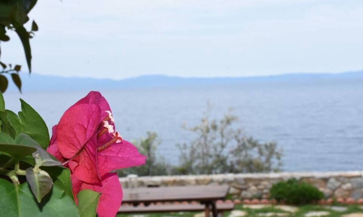Sourpi Condo | Aphrodite * Charming apt with stunning view!
