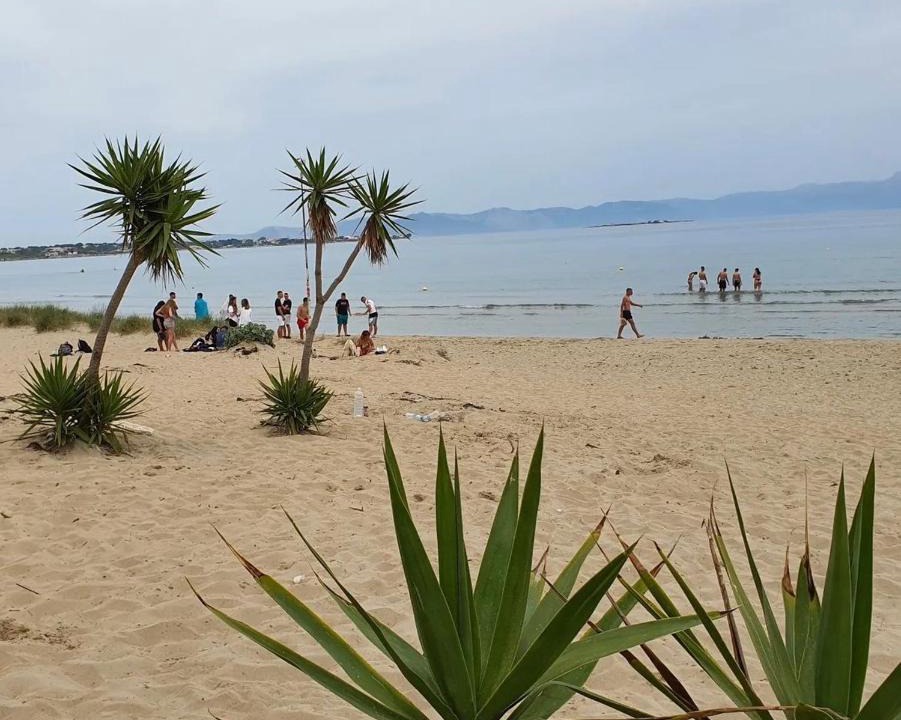 Spata-Artemida Apartment | Argo apartment 15min from the airport, 1min from the beach ARTEMIS CITY CENTER