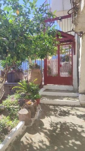 Lakkoi House | Aspasia's Courtyard #2#, Lakkoi, Chania, Crete