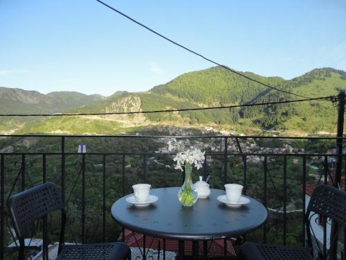 Metsovo Apartment | Baou House 1