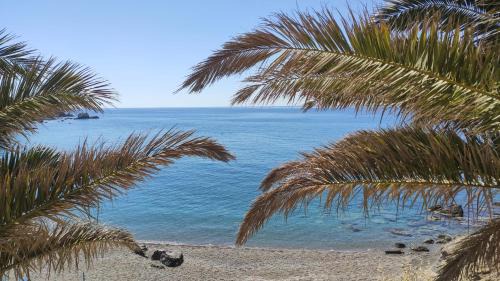 Achlia House | Blue Paradise
