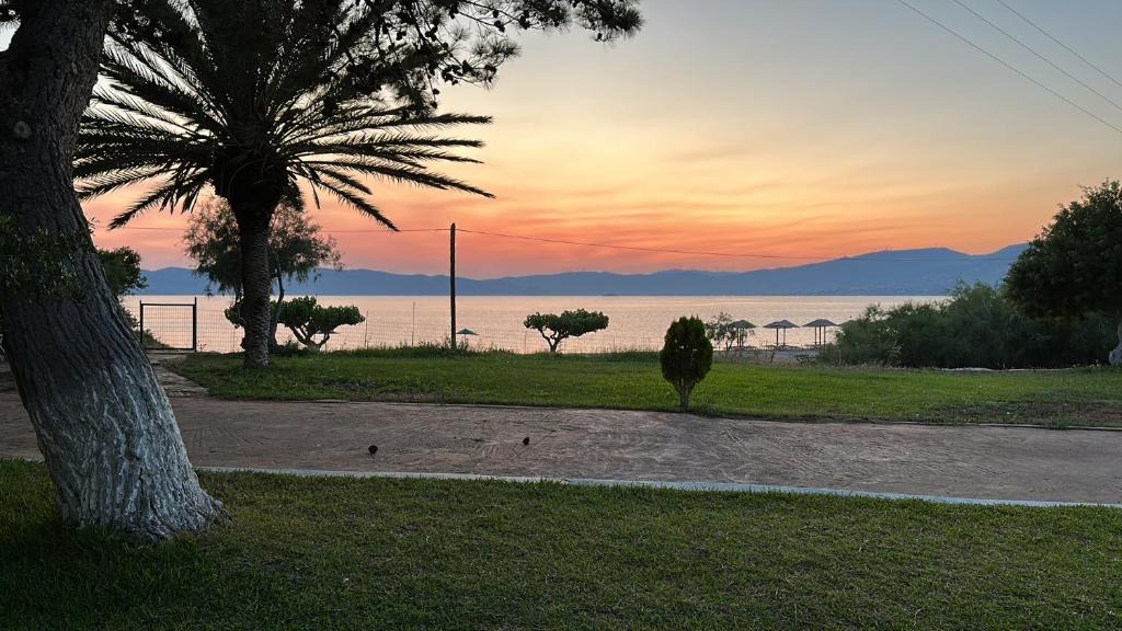 Karystos House | Bouros Seaview Farm