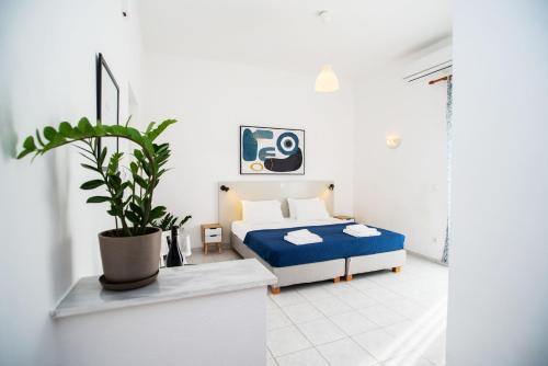 Kavos Hotel | Fardini Resorts