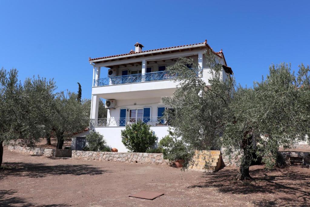 Ermionida Apartment | IOANNAS 1