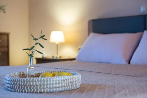 Apolpaina Apartment | Lemon House Lefkada