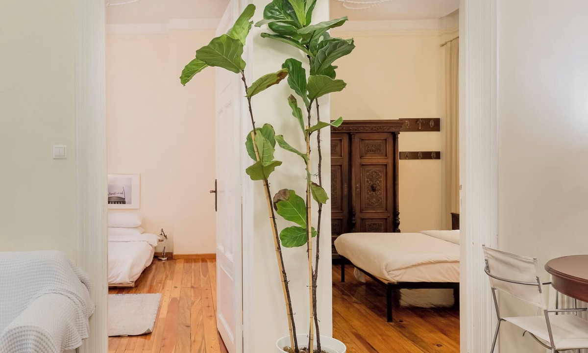 Thessaloniki City Centre Apartment | Magnolia by halu!
