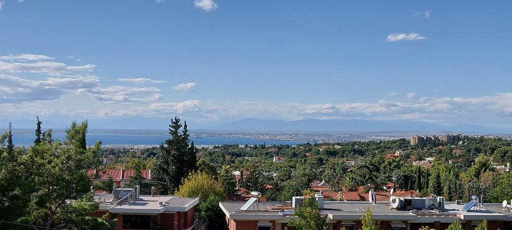 Panorama Apartment | PANORAMA STORIES