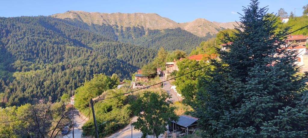 Lake Plastiras House | pasithea mountain rooms