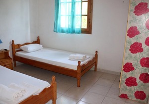 Holiday house amid olive groves, sea view, wifi | Messenia, Peloponnese