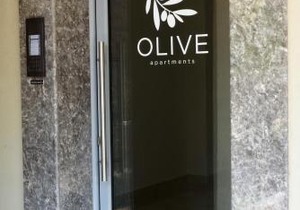 OLIVE 303