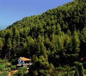 Philippos 