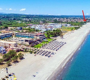 The Beach 
