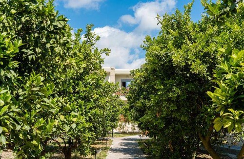 Ialyssos Apartment | 30 m² Apartment ∙ 127 guests