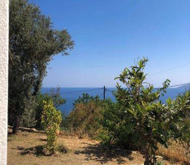 Evdilos Apartment | 75 m² Apartment ∙ 2 bedrooms ∙ 6 guests