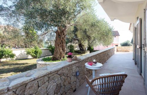 Kato Korakiana House | Verde Olive Three-Bedroom Holiday Home by Konnect