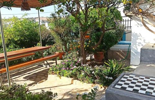 Lipsoi Apartment | VOULAS GARDEN 4FAMILY APT