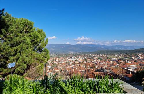 Amfikleia-Elateia Apartment | Πανόραμα
