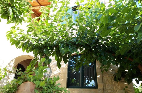 Margarites House | 220 m² House ∙ 4 bedrooms ∙ 10 guests