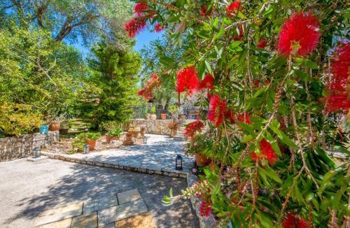 Vlachopoulatika House | Agrielia