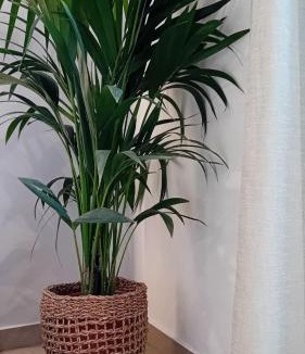 Adamas Apartment | Anais Milos Suites
