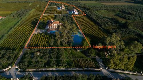 Agia Marina Villa | Aneli Luxury Villas - Villa Alexandra with Heated Pool