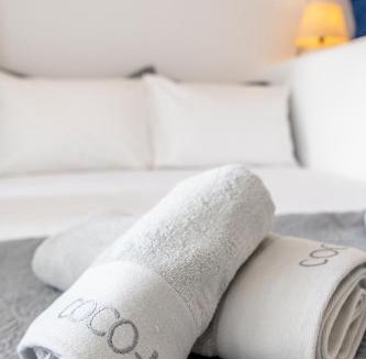 Exomvourgo Apartment | Anemona Apartment Tinos