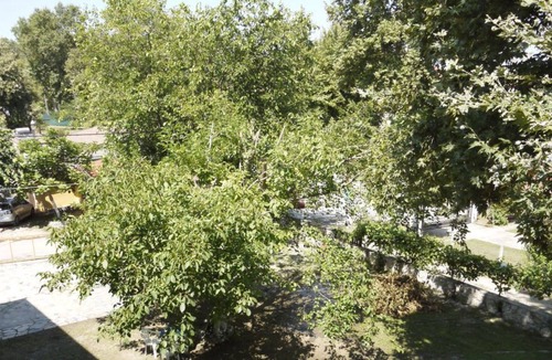 Paralia Pantaleimonos Apartment | Apartment 107 - Achillion B&B, close to the beach and Mount Olympus