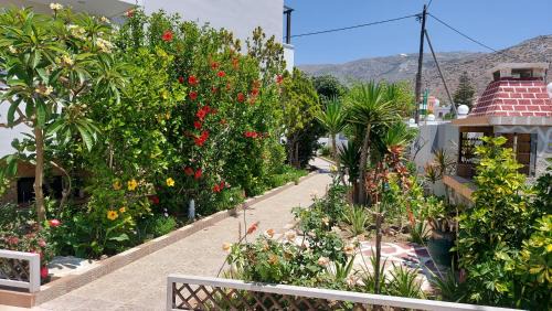 Arkasa Apartment | Arkasa Bay Hotel