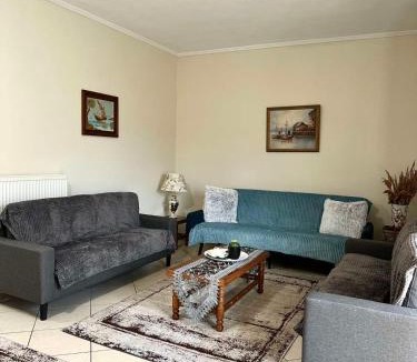 Trikala Apartment | Bakopoulos resort Ένα Όμορφο Διαμέρισμα στα Τρίκαλα