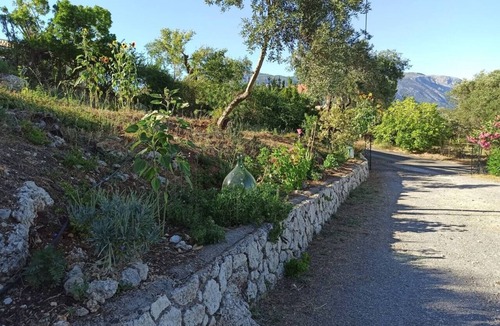 Dassia Apartment | Blue & Green apts - Dassia, Corfu 3