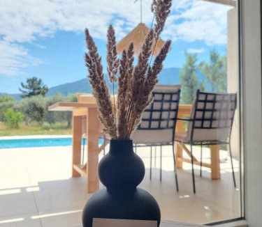Skala Potamias Villa | Casa O' - Moderne Villa mit großer Terrasse und privatem Swimmingpool