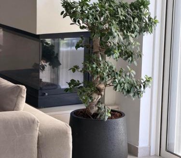 Paralia Vergas Apartment | CL Luxury Apartment