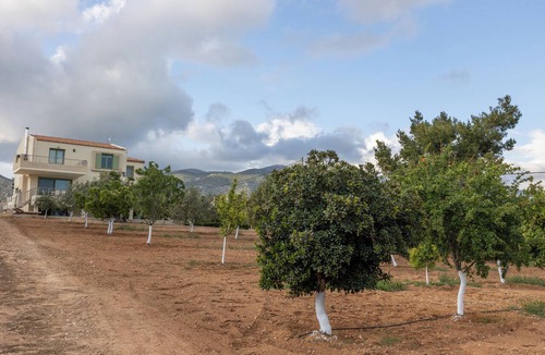 Megara Villa | Elia country villa 5BR 5BA with Private Pool