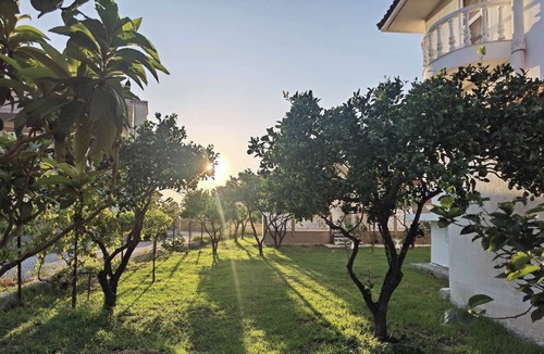 Kremasti House | Freeman Greenlees Hellenic Garden House