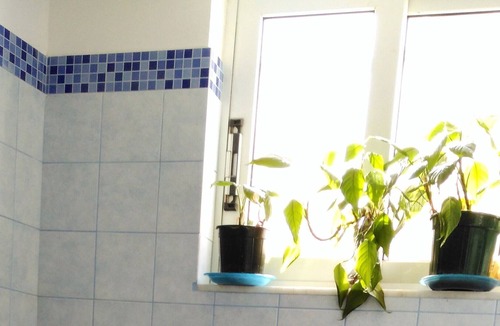 Kokkari Apartment | hidden Tresure Kokkari Penthouse (50m from Sea)