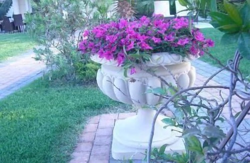 Polichrono Apartment | Holiday apartment Polichrono for 1 - 2 persons with 1 bedroom - Holiday apartment