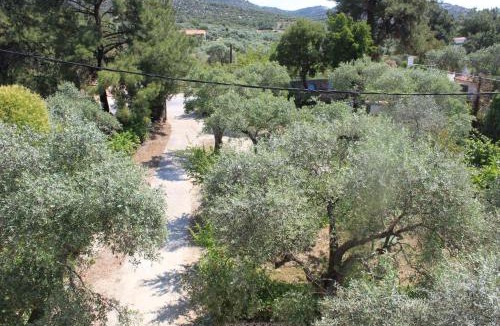 Pefkari Apartment | House Ekton