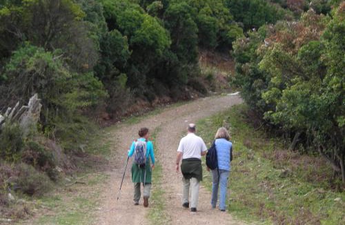 Ikaria House | Ikarian Centre - Accommodation & mountain hiking