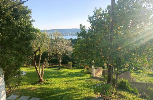 Limni Apartment | Kommeno dream garden