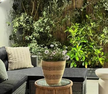 Corfu Town Apartment | Miltonia Apartment