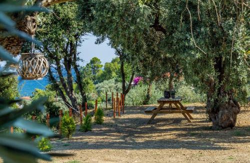 Skopelos Apartment | Olive Grove Apartment