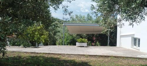 Skidra House | Olive Horizon Villa