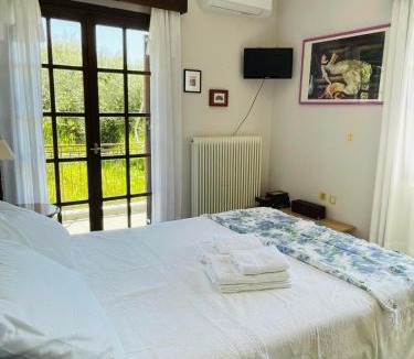 Nikopolis Apartment | Olive Land Spacious Apartment