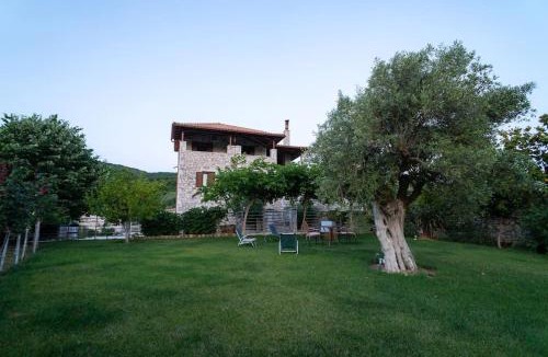 Messini Villa | Olive Stone Villa