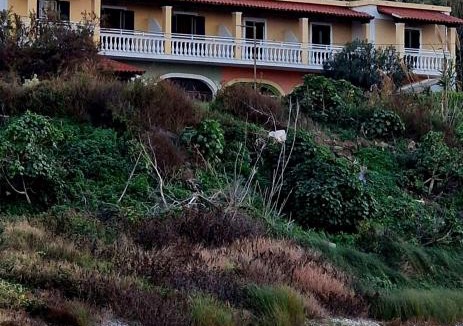 Agios Stefanos Avliotes Apartment | SeasoundStudios