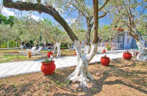 Nea Iraklitsa House | The House of Olive Trees
