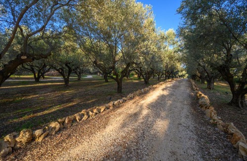 Tragana Villa | The Olive Retreat Villa pool treehouse sleeps 10